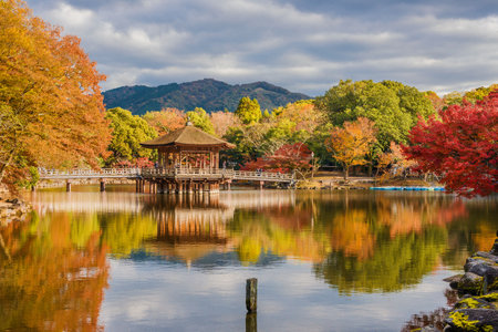 Nara, Japan, November 21, 2017: Tourists visit Nara public park in autumn, with maple leaves, pond and old pavilionのeditorial素材