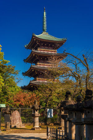 Tokyo, Japan, October 27, 2017: Five Storied Pagoda of Kan'i-ji, located inside Ueno Park, the last remains of an old buddhist templeのeditorial素材