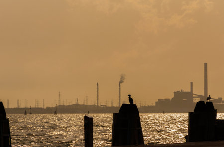 Natural environment and pollution in Venice Lagoon. A cormoran looks at the industrial area of Porto Margheraのeditorial素材
