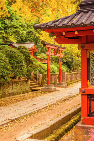 Autumn colors and foliage in Nezu Shrine gardens, one of the oldest Shinto temple in Tokyoのeditorial素材