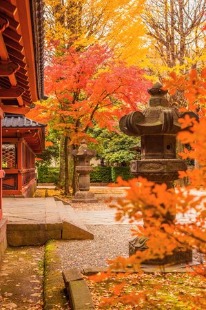 Autumn colors and foliage in Nezu Shrine gardens, one of the oldest Shinto temple in Tokyoのeditorial素材