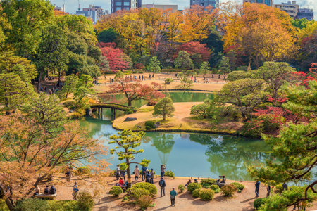 Tourists and Japanese people visit the famous and beautiful Rikugien Park during autumn seasonのeditorial素材
