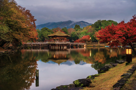 Evening in Nara Park with autumn colorsのeditorial素材