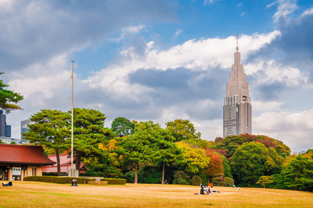 Nature and urban, environment in Tokyo. Meiji Jingu public park in autumn with Shinjuku skyscraper in the backgroundのeditorial素材