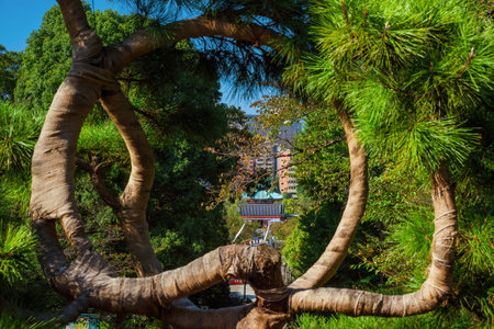 View of Shinobazu pond and Benten-do Temple through the circle of Pine Tree of the Moon in Ueno Park