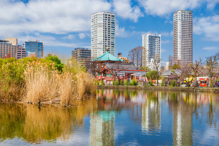 Winter view of Shinobazu Pond in the famous Ueno Park, with dried lotus field and Bentendo Templeのeditorial素材