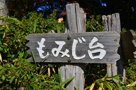 The famous Momijidai (Fall Leaf Viewing Spot) sign at the top of Mount Takaoの写真素材