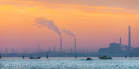 Natural environment and pollution in Venice Lagoon. The impact of the industrial area of Porto...