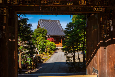 Kyooji gate in Yanaka, the temple when Tokugawa last troops were defeated by Imperial loyalists in...