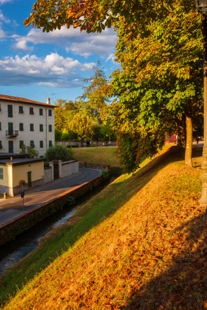 The Walls of Lucca public park with horse chestnut autumnal leavesの写真素材