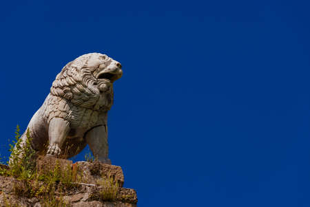 The Lion of Pisa, an ancient etruscan statue at the top of city ancient walls (with blue sky and copy space)の写真素材