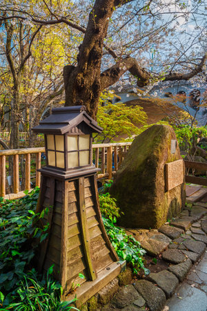 TOKYO, JAPAN - MARCH 31, 2019: Otonashi Water Park traditional wooden lantern with Sakura cherry blossomのeditorial素材