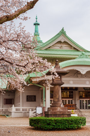 TOKYO, JAPAN - MARCH 28, 2019: Spring in Tokyo. Blooming cherry pink flowers in front of the Tokyo Memorial Hallのeditorial素材