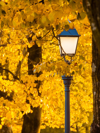 Autumn and foliage in the park. Vintage street lamps among yellow autumnal leavesの写真素材