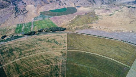 circle cultivation fields seen from the drone in new zealand