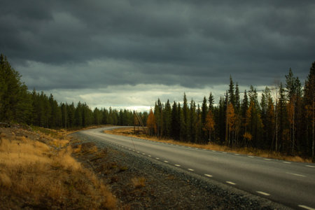 road goes through the forest in autumn in the eveningの写真素材