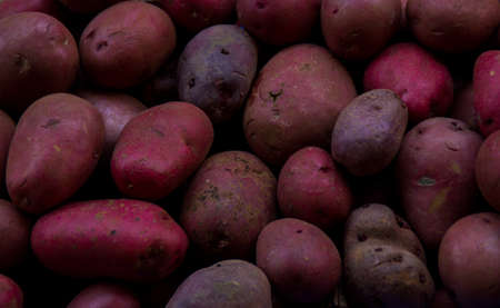 Basket full of red potatoesの写真素材