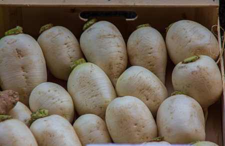 Basket full of healthy Daikon radishes