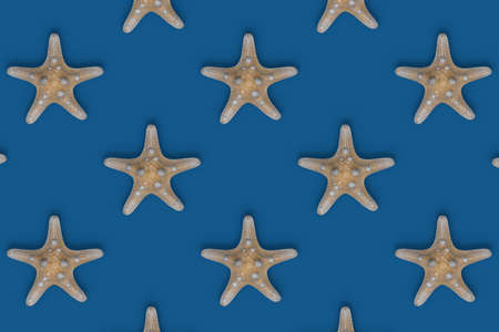 Exotic starfish pattern on blue background. Aged starfish wallpaper. Aquatic backdropsの写真素材