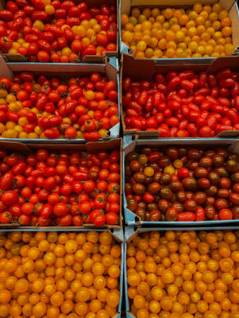 Picture of different types of cherry tomatoes in boxes at street market. Red cherry, yellow cherry, pear and black cherry tomatoes at mediterranean marketの写真素材