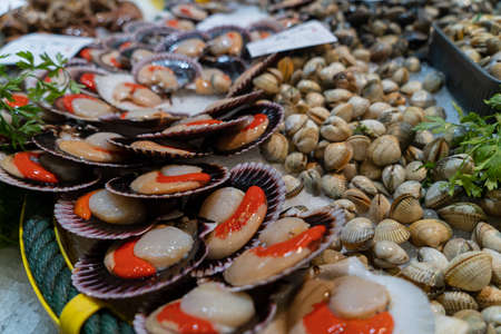 Delicious and fresh scallops with cockles in the background in a fish market.の写真素材