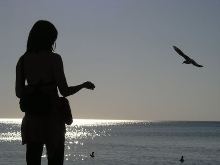 Silhouette Girl over sunset の写真素材