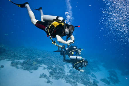 Divers on the blue backgroundのeditorial素材