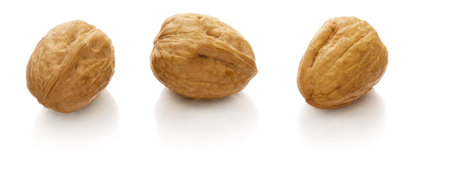 walnut on white with reflactionの写真素材