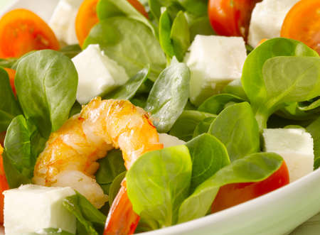 green schrimp salad withe fetta chees and tomatoの写真素材