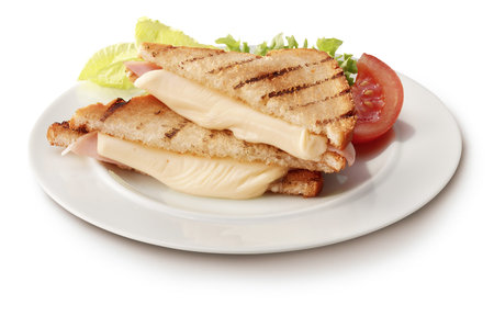 Toasted ham and cheese sandwichの写真素材