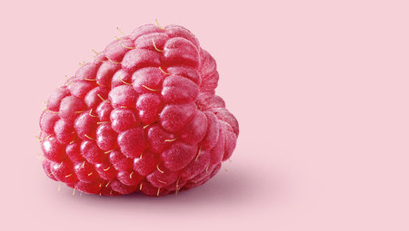 raspberry on pink