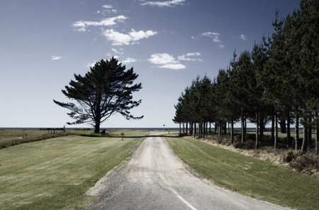 road to the sea