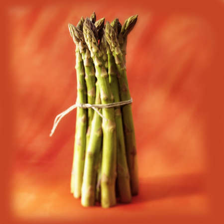 green aspergus on red backgroundの写真素材