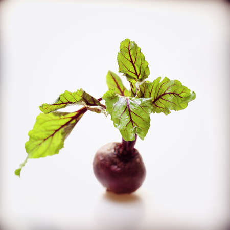 beetroot with leafsの写真素材