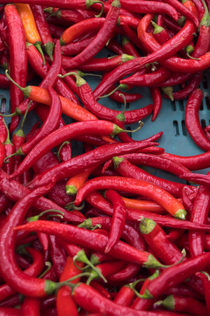 red hot pepperの写真素材
