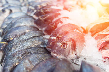 dorado fish on iceの写真素材