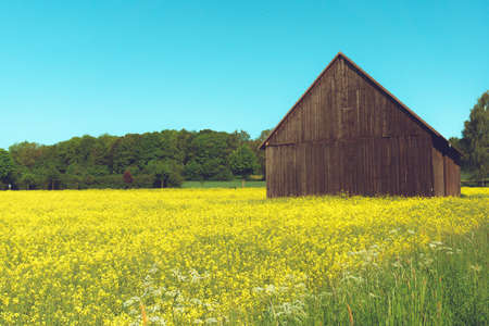 Old barn in the middleの写真素材