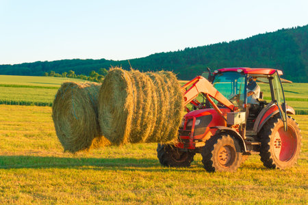 The tractor collects hayの写真素材
