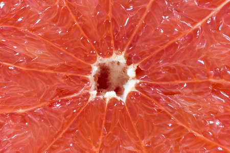 healthy food. sliced grapefruitの写真素材