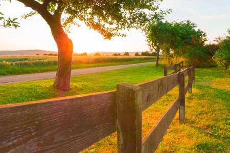 Sunset on the farmの写真素材