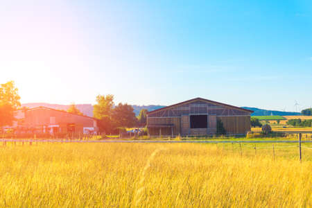 Long barn on the background of a fieldの写真素材