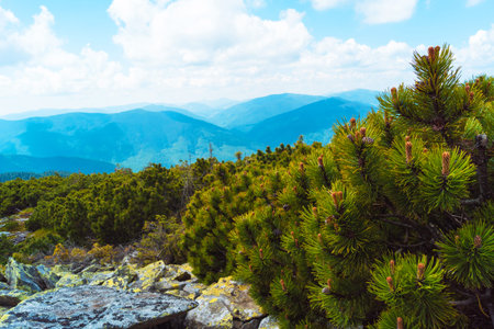 mountain hills beautiful mountain landscape, hiking in the mountains
