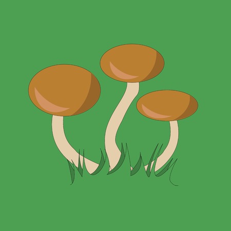 Image of three mushrooms on a background of green grassのイラスト素材