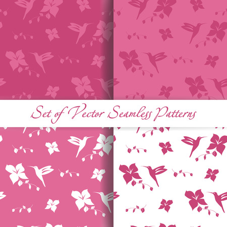 Set of Seamless Backgrounds with Hummingbird. Vector Illustrationのイラスト素材