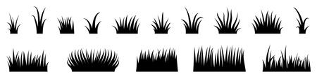 Collection of black grass silhouettes in different shapes and lengths, ideal for nature-themed designs, landscaping graphics, or decorative elements.のイラスト素材