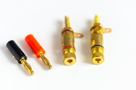 Adapter wire cable electronics audio speaker male banana plug connector isolated on white background.の写真素材