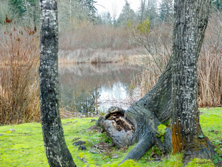 Autumn, reflection of trees and house in the lake. Landscape for background
