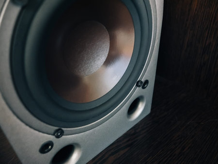 Floorstanding loudspeaker, close-up of the speaker cone