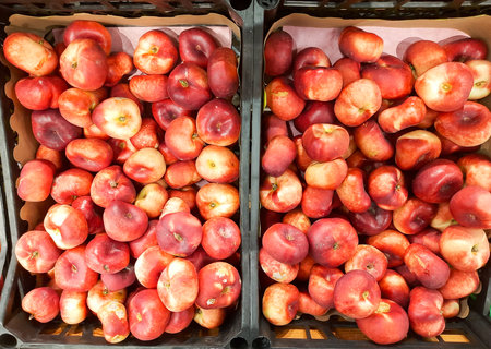 Ripe peaches in the store close-upの写真素材