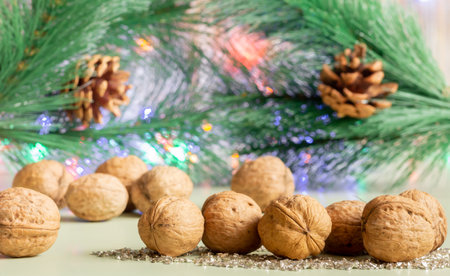 Walnuts close-up on the background of Christmas tree branch with conesの写真素材